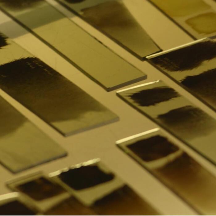 Lots of different samples of pigment on small pieces of glass, lined up against each other for examination