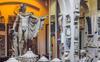 Collections Sir John Soane S Museum