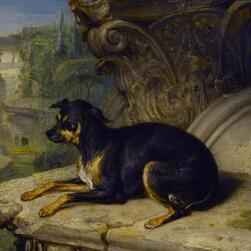 A portrait of a small terrier sat restfully amongst classical scenery.