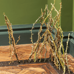 Thorn-like sculptures appear to be growing upwards from a grille on the floor